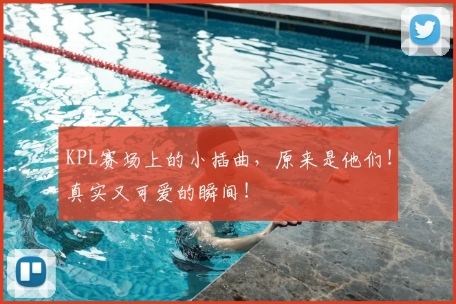 KPL赛场上的小插曲,原来是他们!真实又可爱的瞬间!