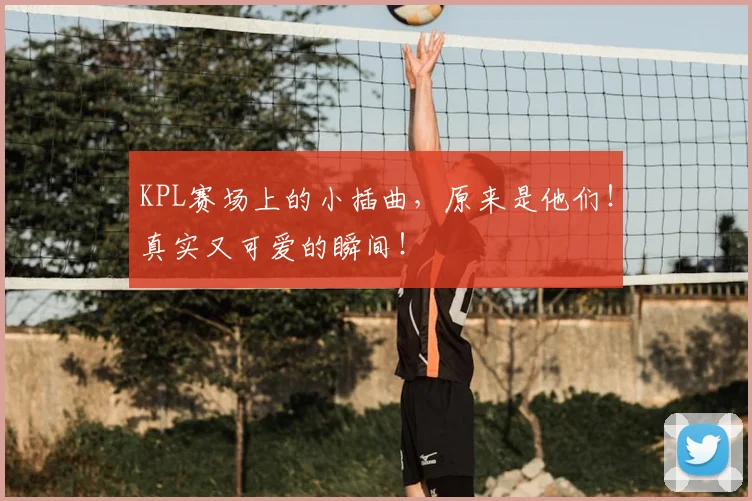 KPL赛场上的小插曲,原来是他们!真实又可爱的瞬间!