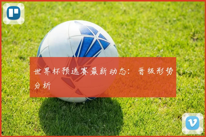 世界杯预选赛最新动态：晋级形势分析