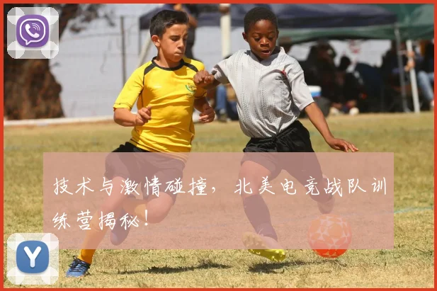 技术与激情碰撞，北美电竞战队训练营揭秘！